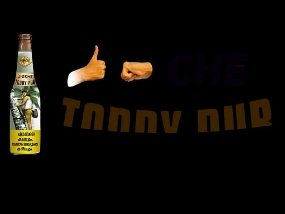 boCHE Toddy Pub Logo