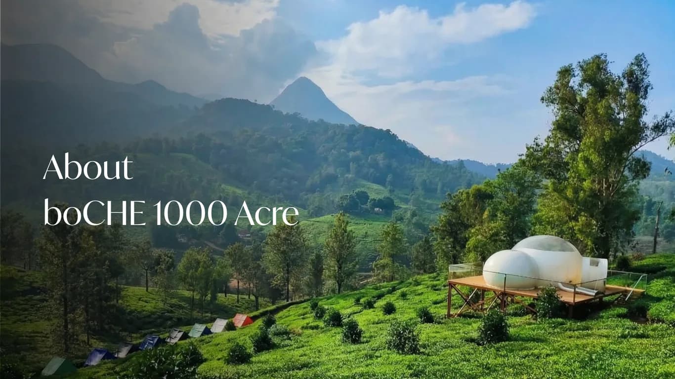 boCHE 1000 Acre boCHE 1000 Acre