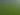 Bhoomiputhra Tea Plantation and Tea Factory in Wayanad Kerala