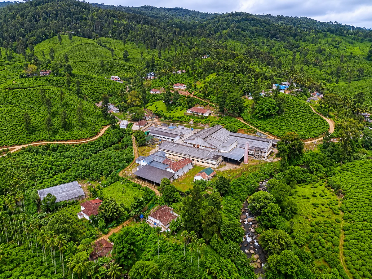 Bhoomiputhra Tea Plantation and Tea Factory in Wayanad Kerala
