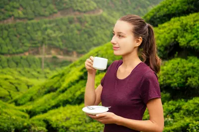 The Art of Tea Tasting: A Journey Through Our Plantations The Art of Tea Tasting: A Journey Through Our Plantations