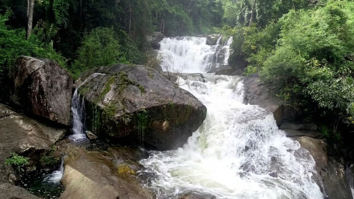 Waterfall inside boche 1000 acre resort in kerala wayanad Waterfall inside boche 1000 acre resort in kerala wayanad