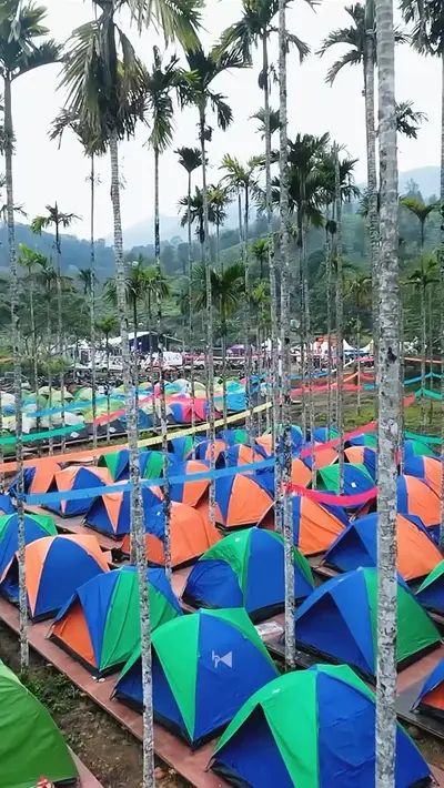 Campsite Tents at boCHE 1000 Acre A massive campsite with rows of vibrant tents set up for a biker gathering at boCHE 1000 Acre, a top choice for an adventure tent stay in Wayanad.