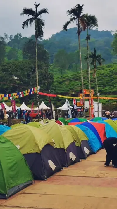 Camping Tents pitched in Wayanad Hills Rows of colorful camping tents pitched for a festival at boCHE 1000 Acre, providing an adventurous tent stay in Wayanad amidst scenic hills.