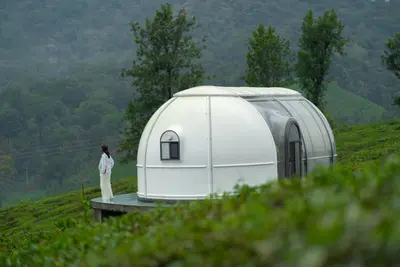 Tranquil natural surroundings outside the private couple stay in wayanad