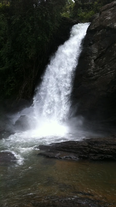 Visit Soochipara Waterfall Visit Soochipara Waterfall
